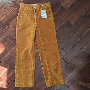 NWT Everlane corduroy pants